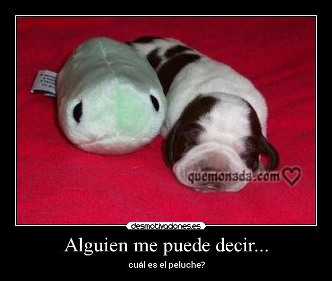 Alguien me puede decir... - 