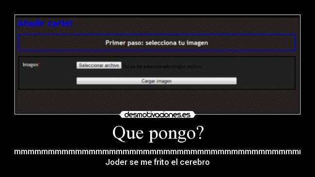 Que pongo? - 