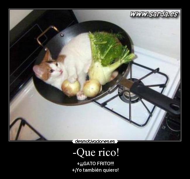 -Que rico! - +¡¡¡GATO FRITO!!!
+¡Yo también quiero!