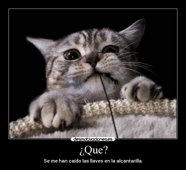 ¿Que? - Se me han caído las llaves en la alcantarilla.