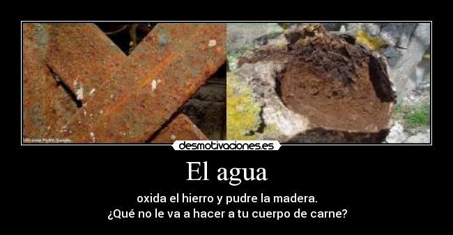 El agua -