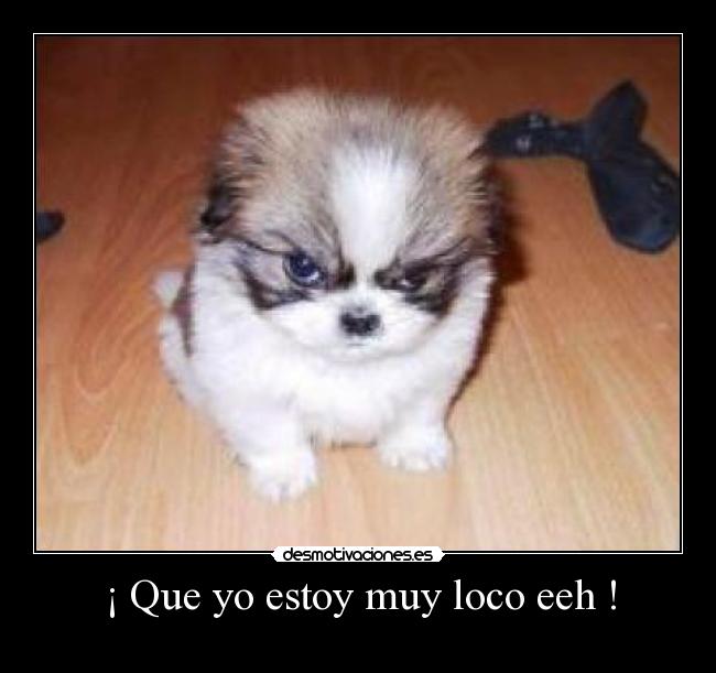 ¡ Que yo estoy muy loco eeh ! -