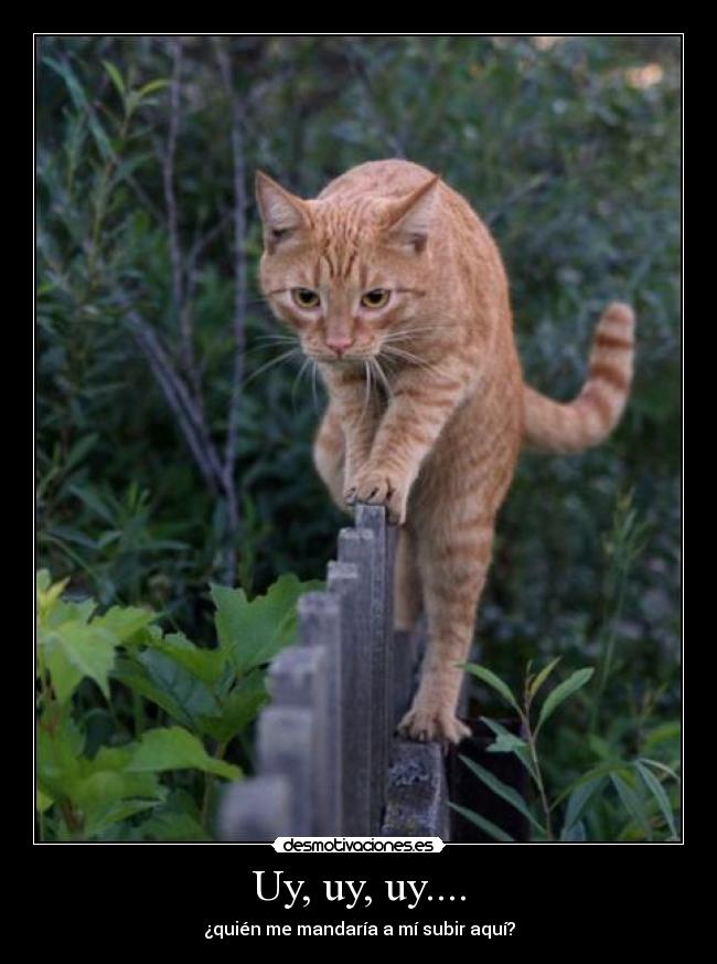 Uy, uy, uy.... - ¿quién me mandaría a mí subir aquí?