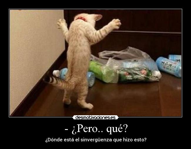 - ¿Pero.. qué? -