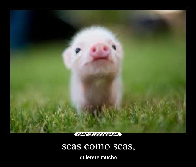 seas como seas, -