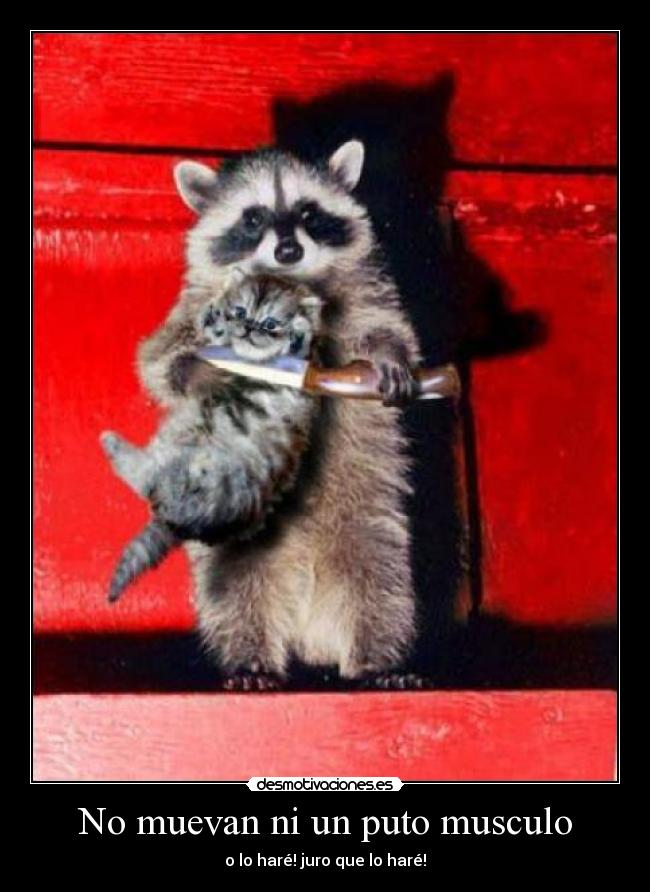 No muevan ni un puto musculo - 