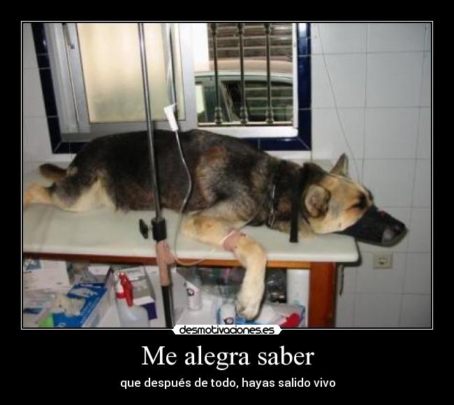 Me alegra saber - que después de todo, hayas salido vivo