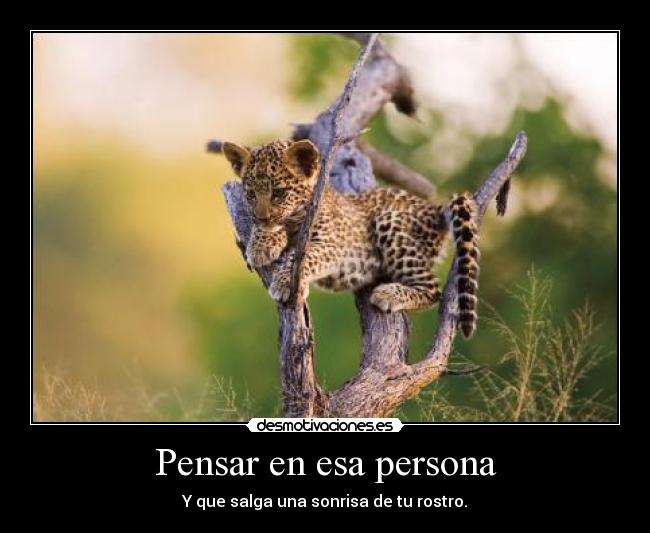 Pensar en esa persona - 