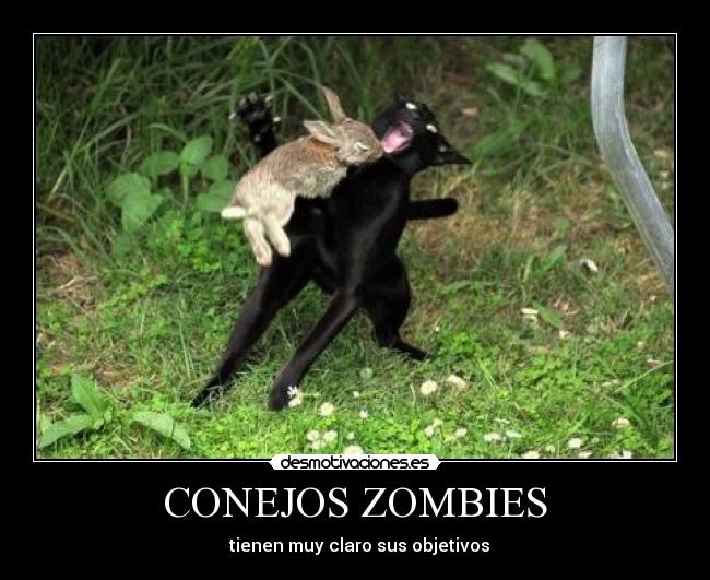 CONEJOS ZOMBIES - tienen muy claro sus objetivos