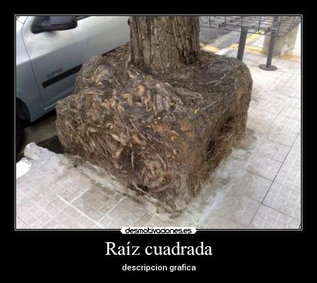 Raíz cuadrada - descripcion grafica