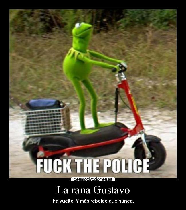 carteles rana gustavo desmotivaciones