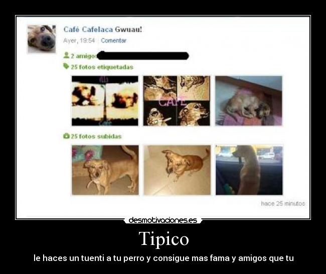 Tipico - 