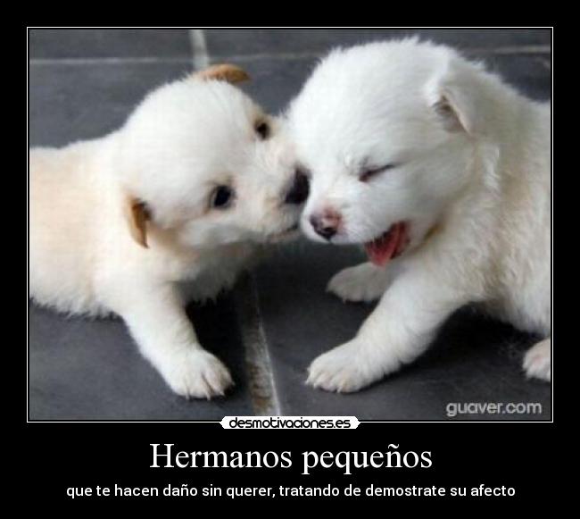 Hermanos pequeños - 
