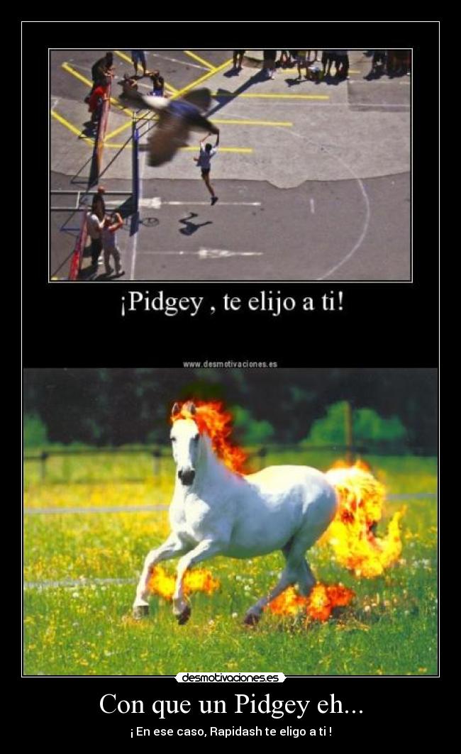 Con que un Pidgey eh... - ¡ En ese caso, Rapidash te eligo a ti !
