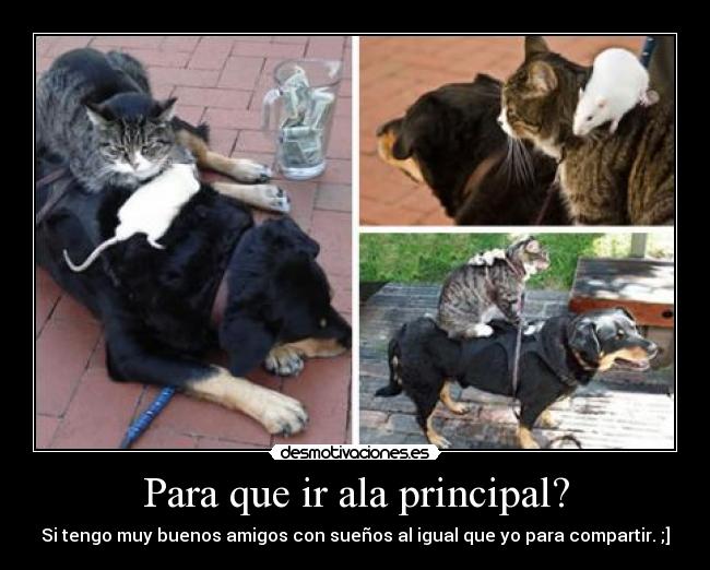 carteles lkjhgfdsxz desmotivaciones