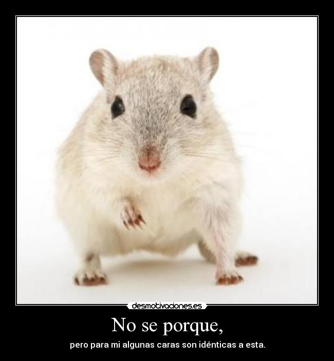 No se porque, - pero para mi algunas caras son idénticas a esta.