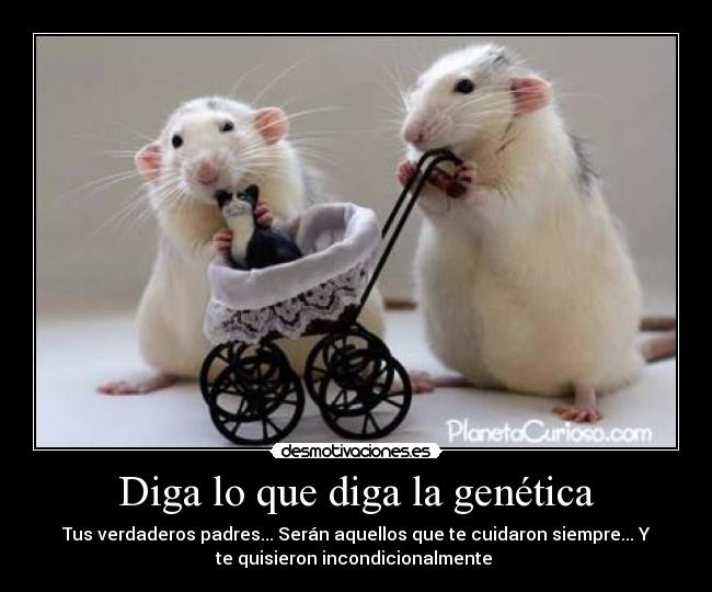 Diga lo que diga la genética - Tus verdaderos padres... Serán aquellos que te cuidaron siempre... Y
te quisieron incondicionalmente