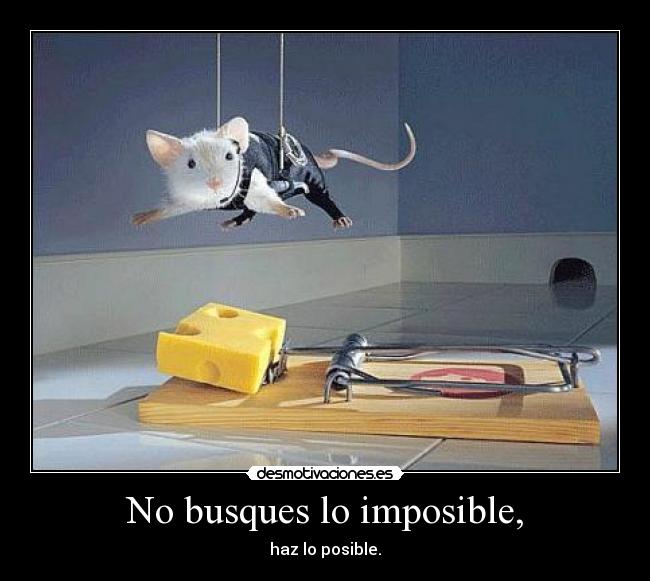 No busques lo imposible, - 