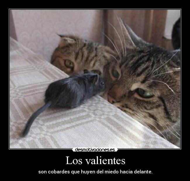 Los valientes - son cobardes que huyen del miedo hacia delante.