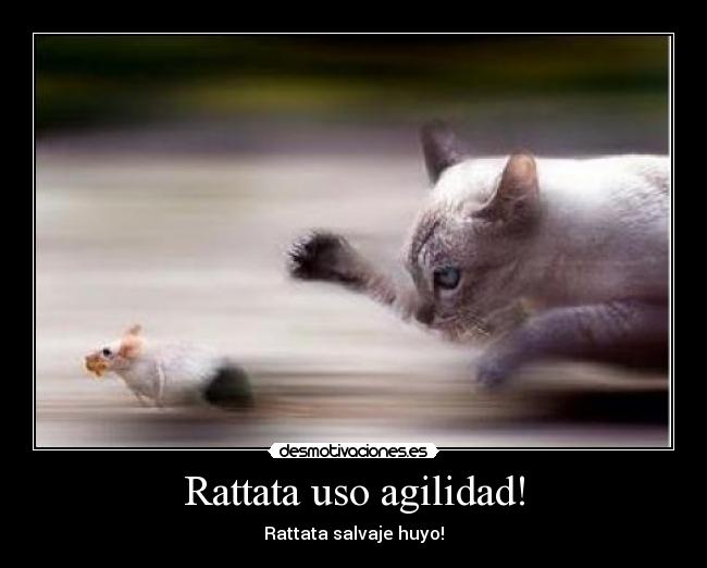 Rattata uso agilidad! - 