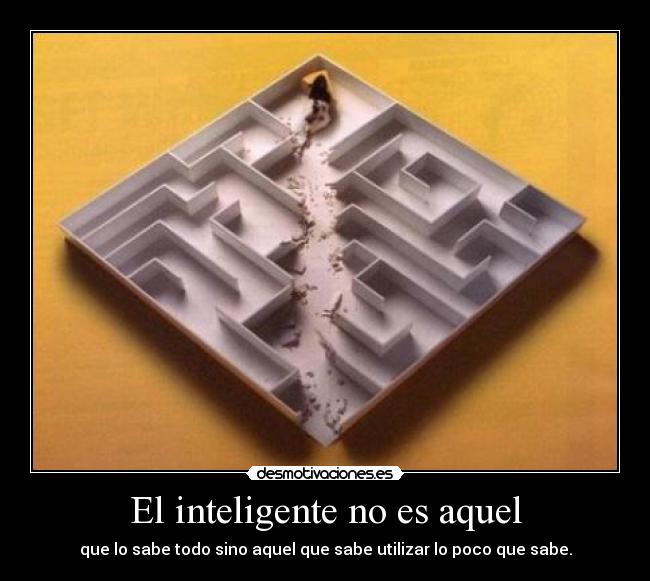 El inteligente no es aquel - 