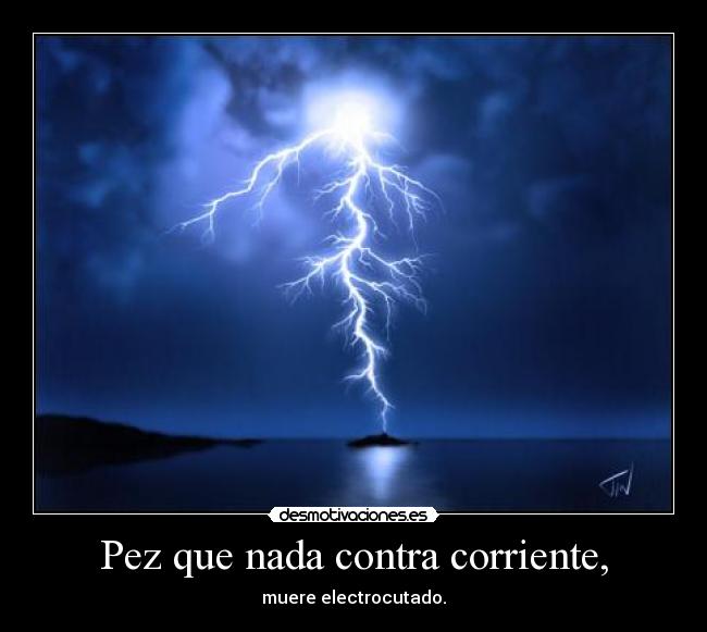 carteles pez desmotivaciones