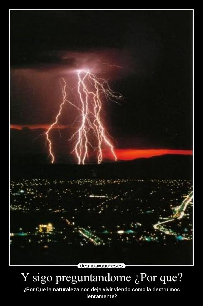 Y sigo preguntandome ¿Por que? - ¿Por Que la naturaleza nos deja vivir viendo como la destruimos lentamente?