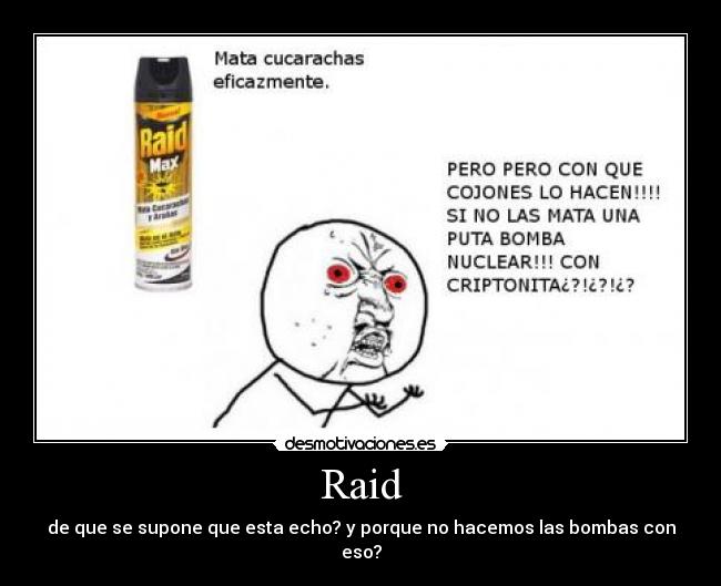 Raid -