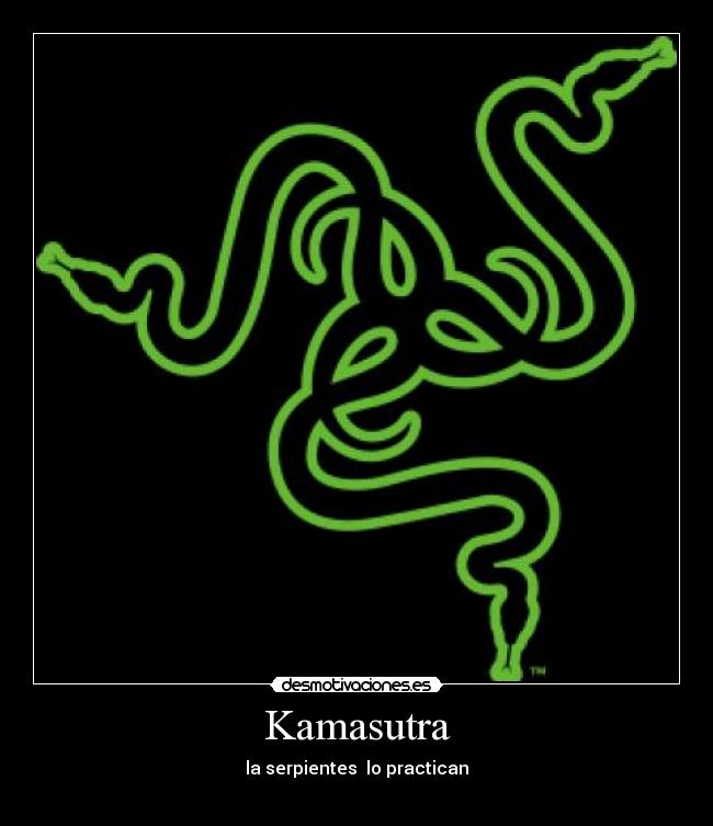 carteles kamazutra serpientes razer desmotivaciones