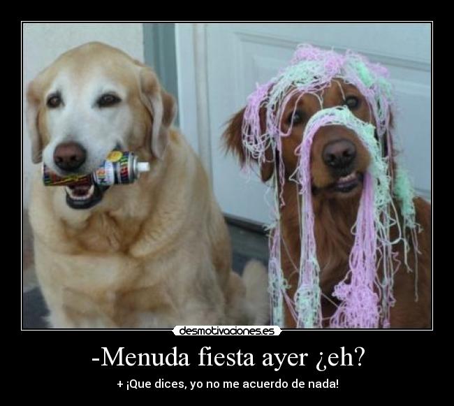-Menuda fiesta ayer ¿eh? -