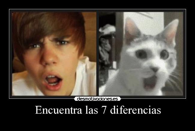 Encuentra las 7 diferencias -