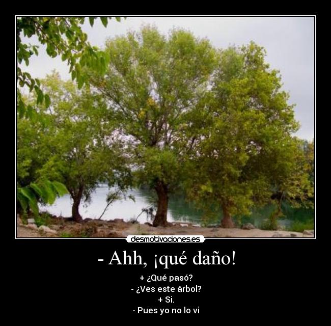 - Ahh, ¡qué daño! - + ¿Qué pasó?
- ¿Ves este árbol?
+ Si.
- Pues yo no lo vi