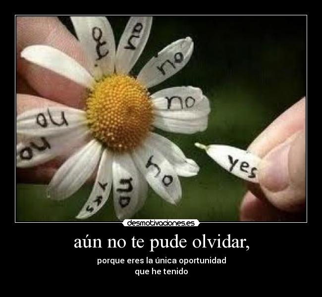 aún no te pude olvidar, -