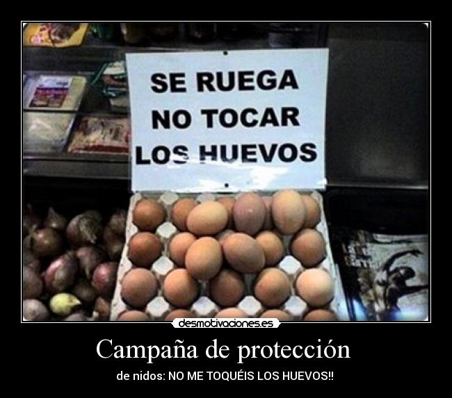 Campaña de protección -