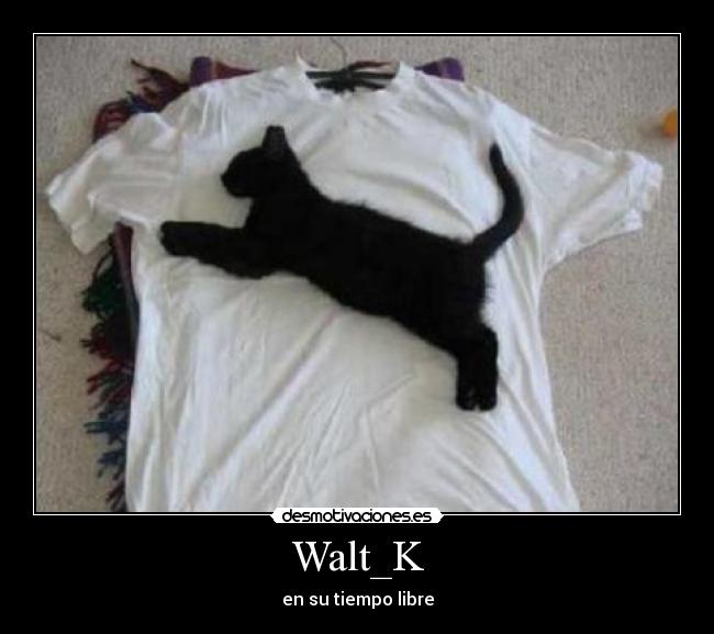 Walt_K - en su tiempo libre