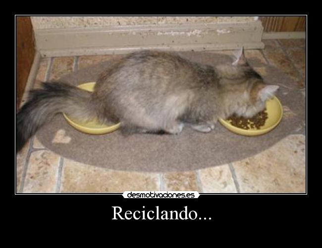 Reciclando... - 
