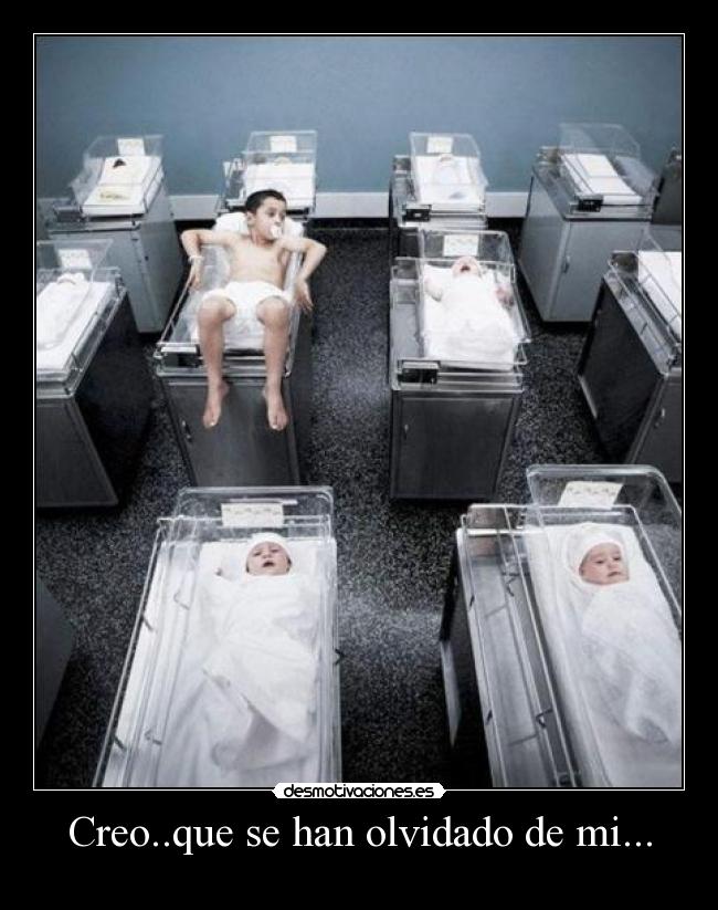 Creo..que se han olvidado de mi... -