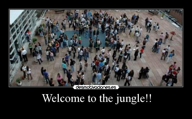 Welcome to the jungle!! - 