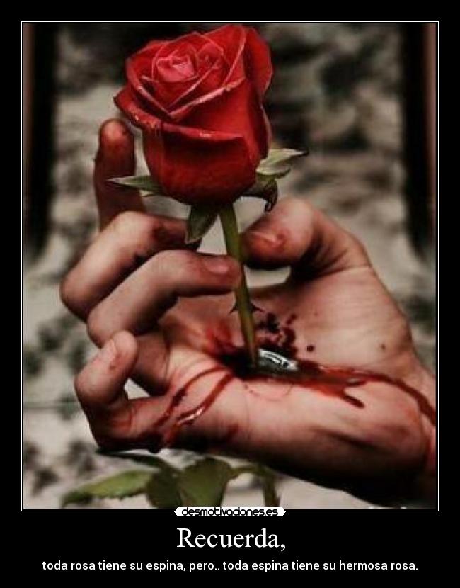 Recuerda, - toda rosa tiene su espina, pero.. toda espina tiene su hermosa rosa.
