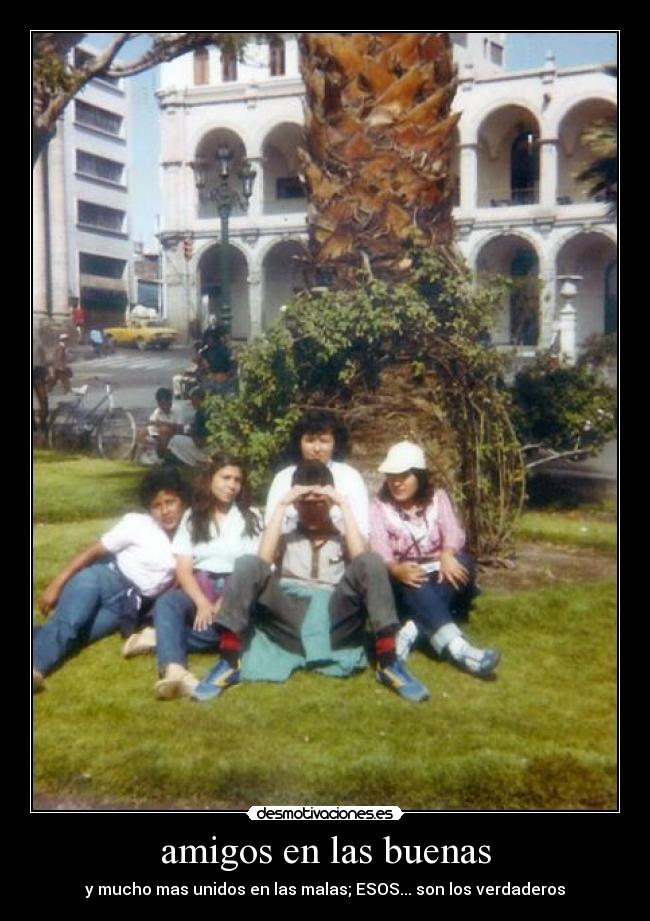 amigos en las buenas -