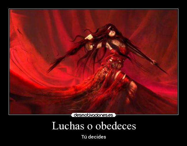 Luchas o obedeces -