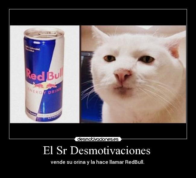 El Sr Desmotivaciones  - 
