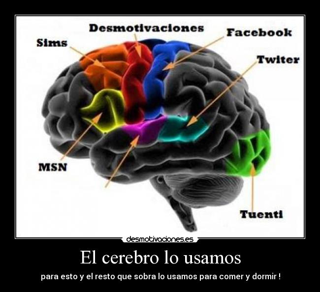 El cerebro lo usamos - para esto y el resto que sobra lo usamos para comer y dormir !