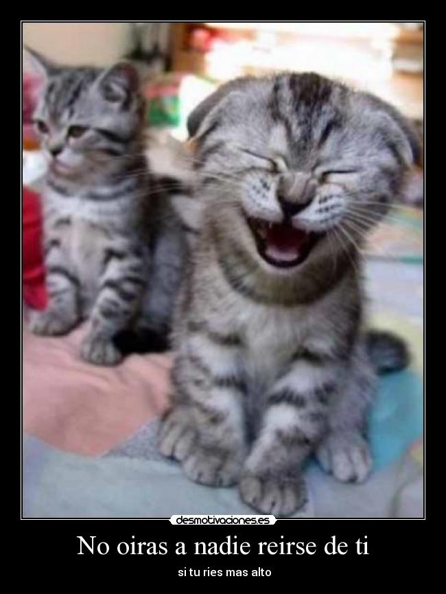 No oiras a nadie reirse de ti -