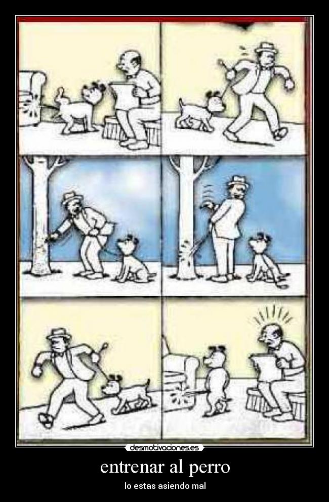 carteles lusin denali desmotivaciones