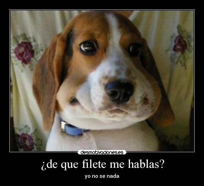 ¿de que filete me hablas? -