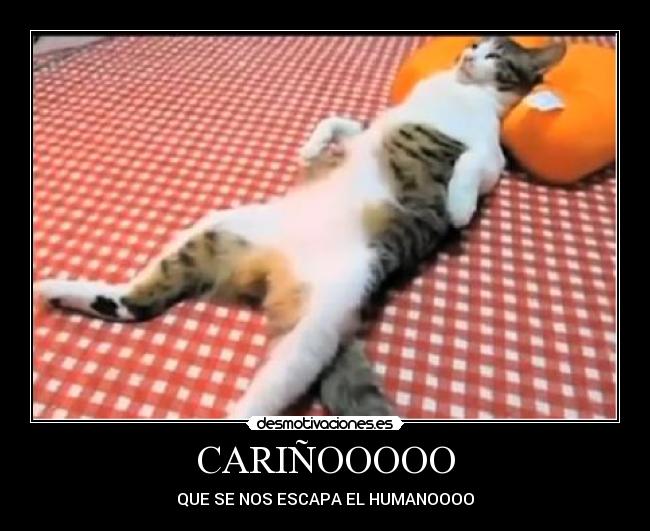 CARIÑOOOOO - QUE SE NOS ESCAPA EL HUMANOOOO