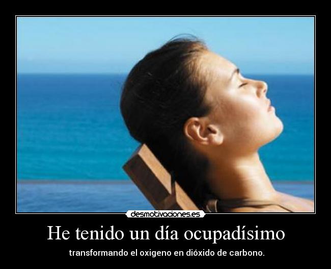 carteles desmotivaciones