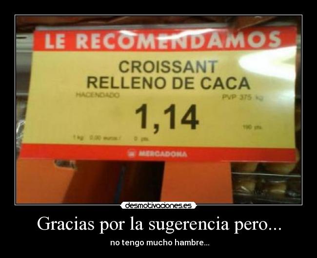 Gracias por la sugerencia pero... -  no tengo mucho hambre...