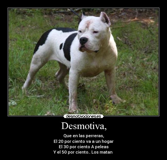 Desmotiva, -